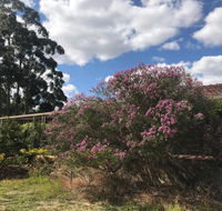 Cockburn Retreat Home  - Whitsundays Accommodation