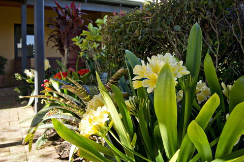 Vintages Accommodation - Whitsundays Accommodation 19