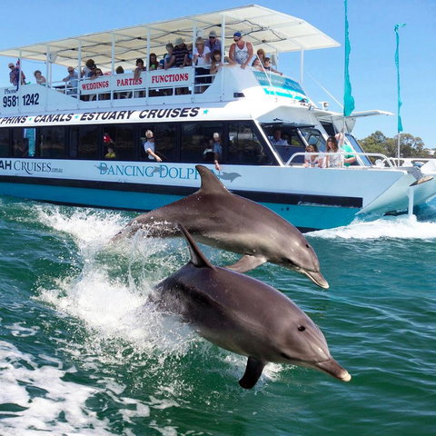 Mandurah Coastal Holiday Park - Whitsundays Accommodation 0