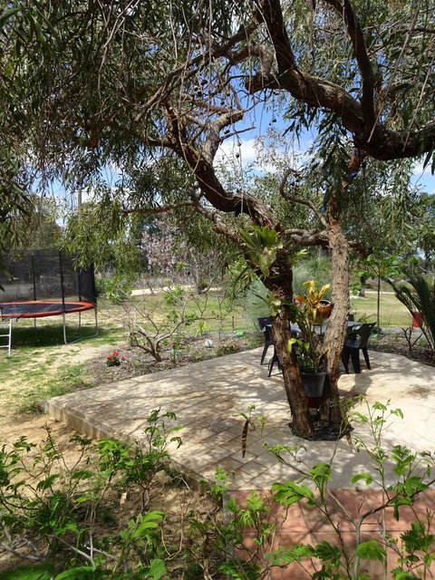 Majestichomestead B&B - Whitsundays Accommodation 7