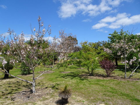 Majestichomestead B&B - Whitsundays Accommodation 27