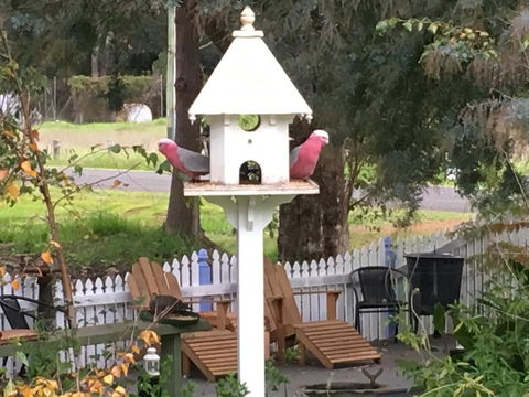 Applegate Lane Chalet - Whitsundays Accommodation 25