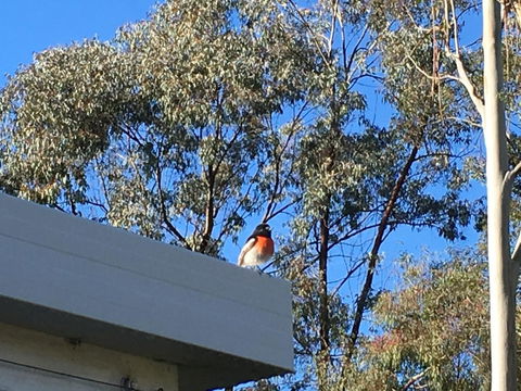 Applegate Lane Chalet - Whitsundays Accommodation 27