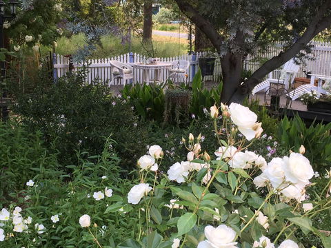 Applegate Lane Chalet - Whitsundays Accommodation 22