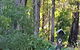 Di's Cabin In Dwellingup - thumb 6
