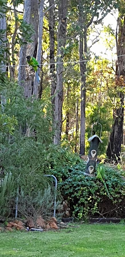 Di's Cabin In Dwellingup - Whitsundays Accommodation 6