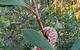 Di's Cabin In Dwellingup - thumb 4