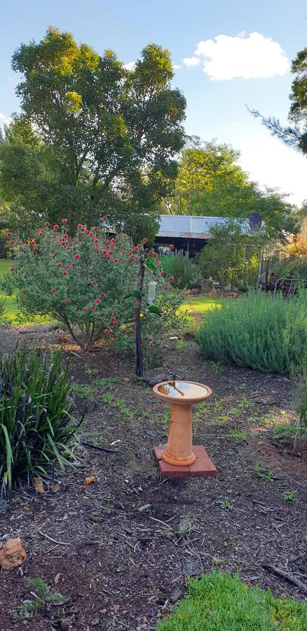 Di's Cabin In Dwellingup - Whitsundays Accommodation 14