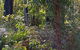 Di's Cabin In Dwellingup - thumb 8