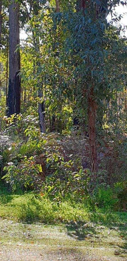 Di's Cabin In Dwellingup - Whitsundays Accommodation 8