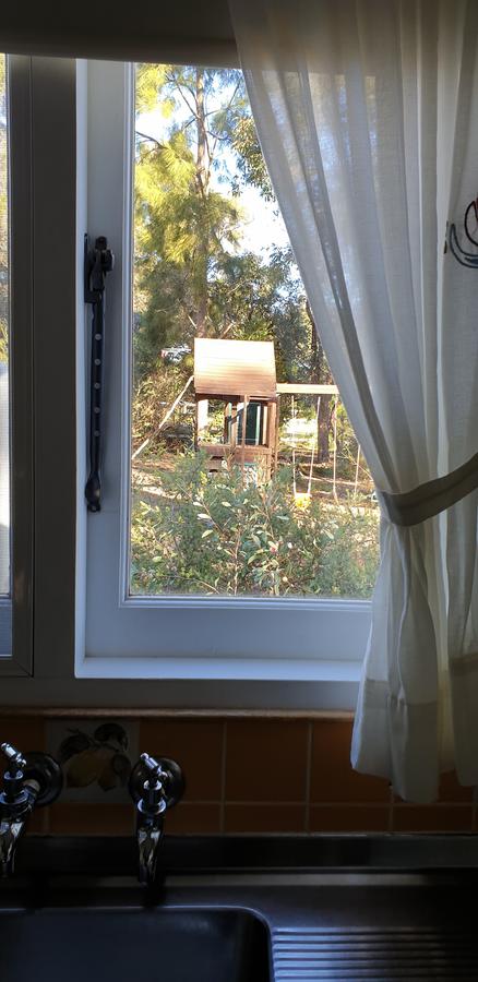 Di's Cabin In Dwellingup - Whitsundays Accommodation 15