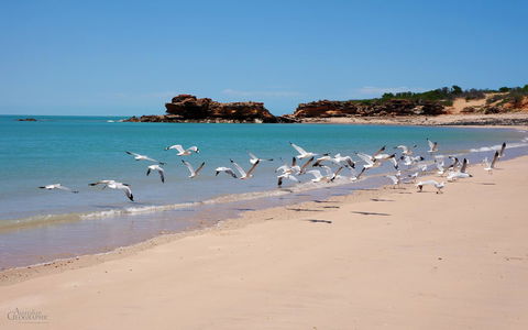 Apartments At Blue Seas Resort - Whitsundays Accommodation 25