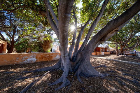 Discovery Resorts - Rottnest Island - Whitsundays Accommodation 23