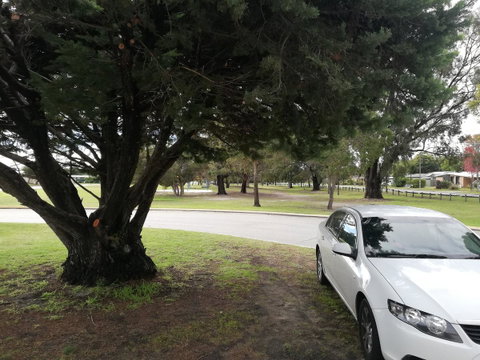 Affordable Inn - Whitsundays Accommodation 25