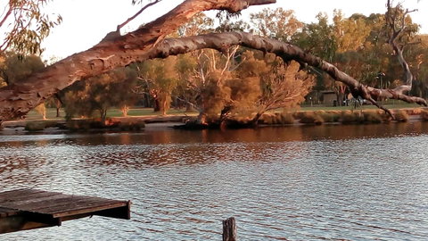 Ascot On Swan Bed & Breakfast - Whitsundays Accommodation 9