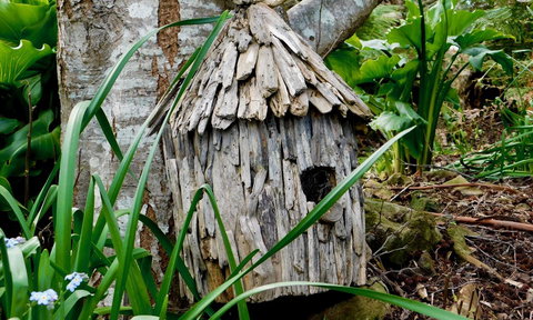 43 Degrees Bruny Island - Whitsundays Accommodation 7