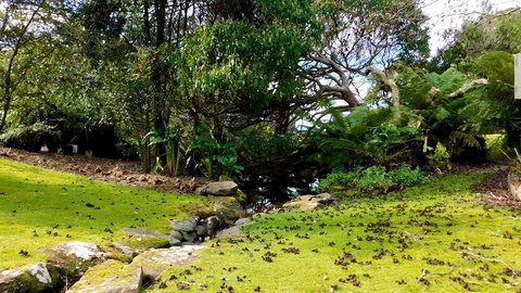 43 Degrees Bruny Island - Whitsundays Accommodation 8