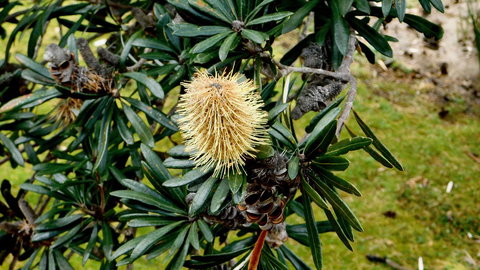 43 Degrees Bruny Island - Whitsundays Accommodation 11