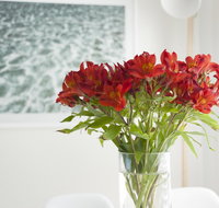 On The Beach Waterfront Apartment - Whitsundays Accommodation