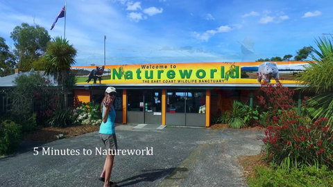 Bicheno Cabin Park - Whitsundays Accommodation 6