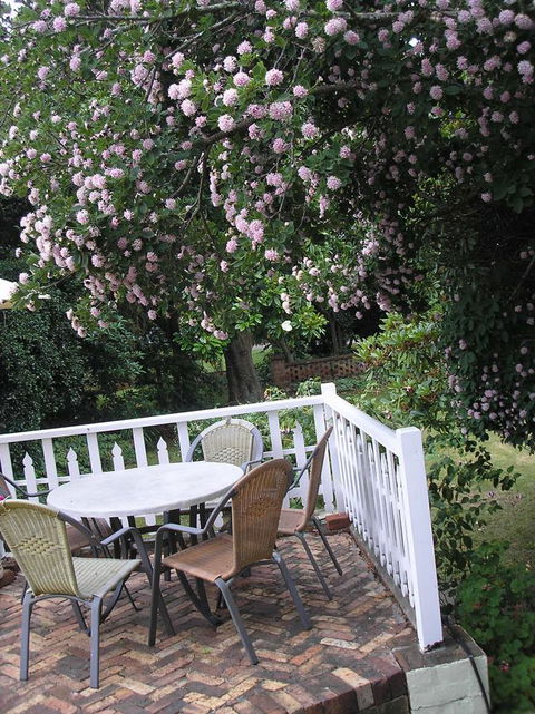 Anabel\'s Of Scottsdale - Whitsundays Accommodation 33