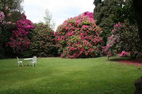 Anabel\'s Of Scottsdale - Whitsundays Accommodation 39