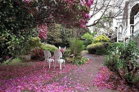 Anabel\'s Of Scottsdale - Whitsundays Accommodation 36