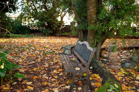 Anabel\'s Of Scottsdale - Whitsundays Accommodation 38