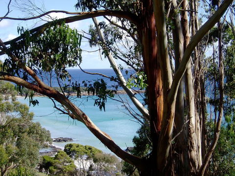 Seascape Beach House - Whitsundays Accommodation 8