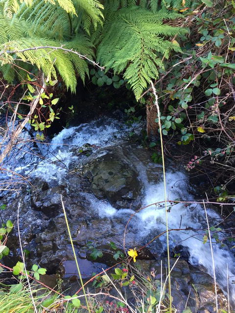 Manna Hill Farm - Whitsundays Accommodation 26