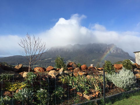 Manna Hill Farm - Whitsundays Accommodation 25