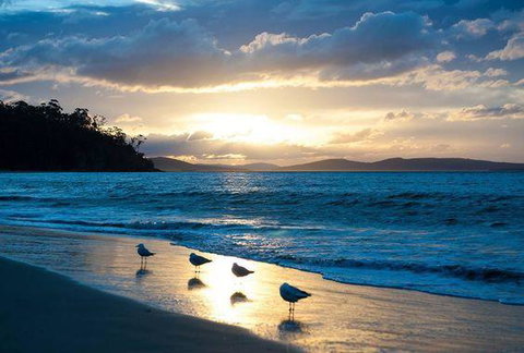 The Ultimate Beach House - Whitsundays Accommodation 8