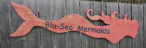 Mermaids Of Bicheno - Whitsundays Accommodation 16