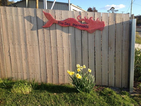 Mermaids Of Bicheno - Whitsundays Accommodation 17