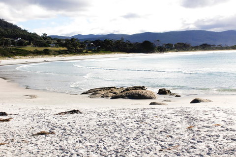Mermaids Of Bicheno - Whitsundays Accommodation 0