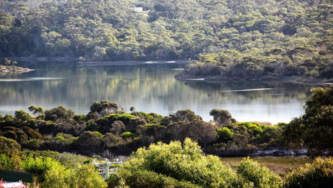 SEA EAGLE COTTAGE Amazing Views Of Bay Of Fires - Whitsundays Accommodation 17