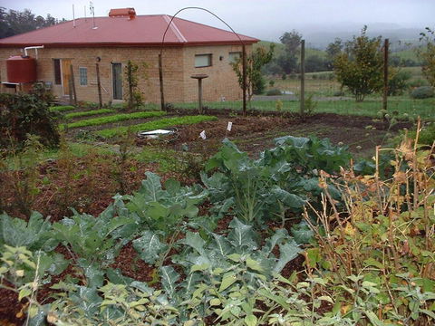 Cherry Top Farmstay - Boutique Eco Village - Whitsundays Accommodation 15