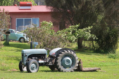 Cherry Top Farmstay - Boutique Eco Village - Whitsundays Accommodation 25