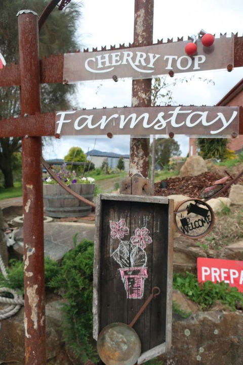 Cherry Top Farmstay - Boutique Eco Village - Whitsundays Accommodation 5