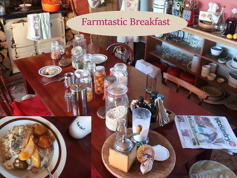 Cherry Top Farmstay - Boutique Eco Village - Whitsundays Accommodation 17