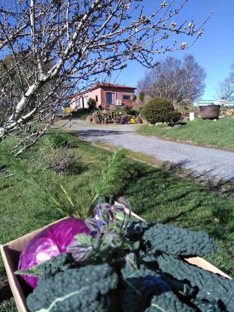 Cherry Top Farmstay - Boutique Eco Village - Whitsundays Accommodation 23