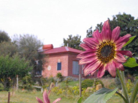 Cherry Top Farmstay - Boutique Eco Village - Whitsundays Accommodation 27