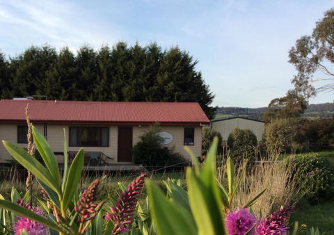 Cherry Top Farmstay - Boutique Eco Village - Whitsundays Accommodation 22