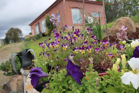 Cherry Top Farmstay - Boutique Eco Village - Whitsundays Accommodation 7