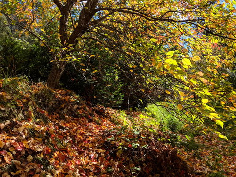 Mountain Blue Guest House - Whitsundays Accommodation 9