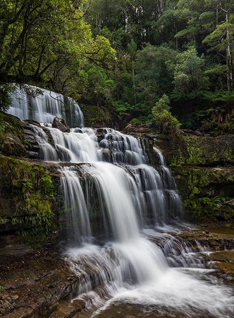 Mountain Blue Guest House - Whitsundays Accommodation 22