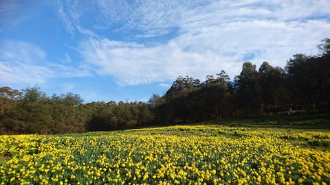 Mountain Blue Guest House - Whitsundays Accommodation 21