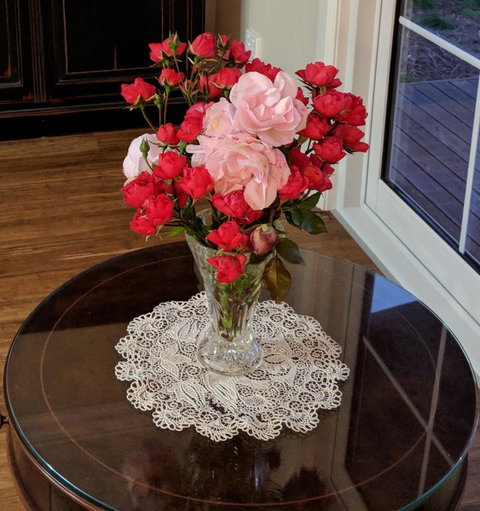 Mountain Blue Guest House - Whitsundays Accommodation 8