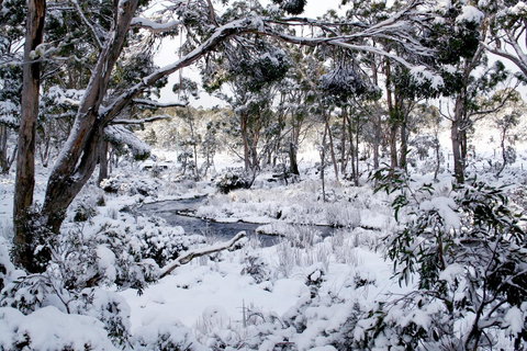 Cradle Mountain Love Shack - Whitsundays Accommodation 11