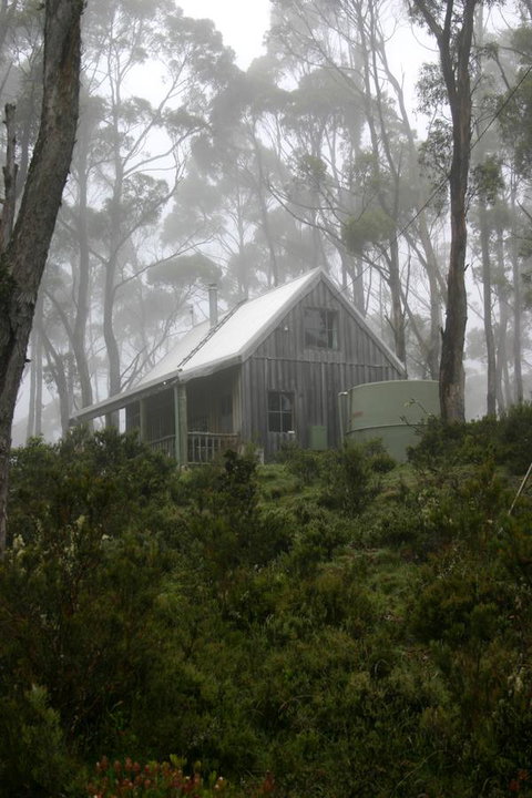 Cradle Mountain Love Shack - Whitsundays Accommodation 6